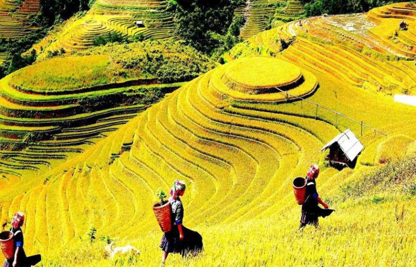 Sapa easy trek 3 days 4 nights (Hotel & Homestay)